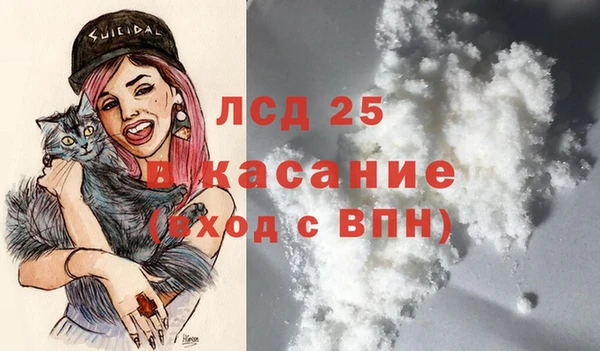гашик Алексеевка