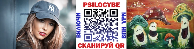 хочу   Набережные Челны  Галлюциногенные грибы Magic Shrooms 