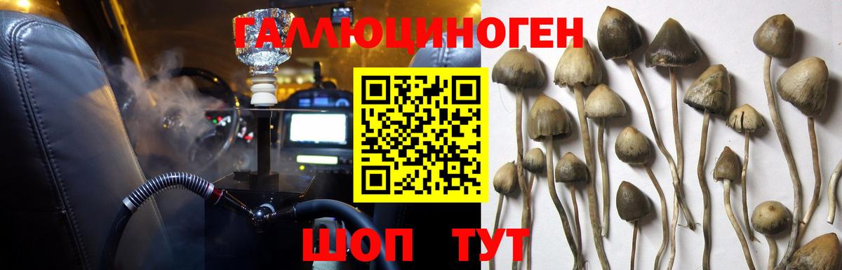 Псилоцибиновые грибы MAGIC MUSHROOMS Набережные Челны